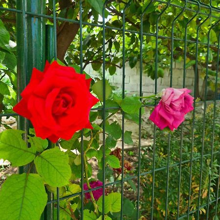 Dolce Casa Διαμέρισμα Dhërmi Εξωτερικό φωτογραφία